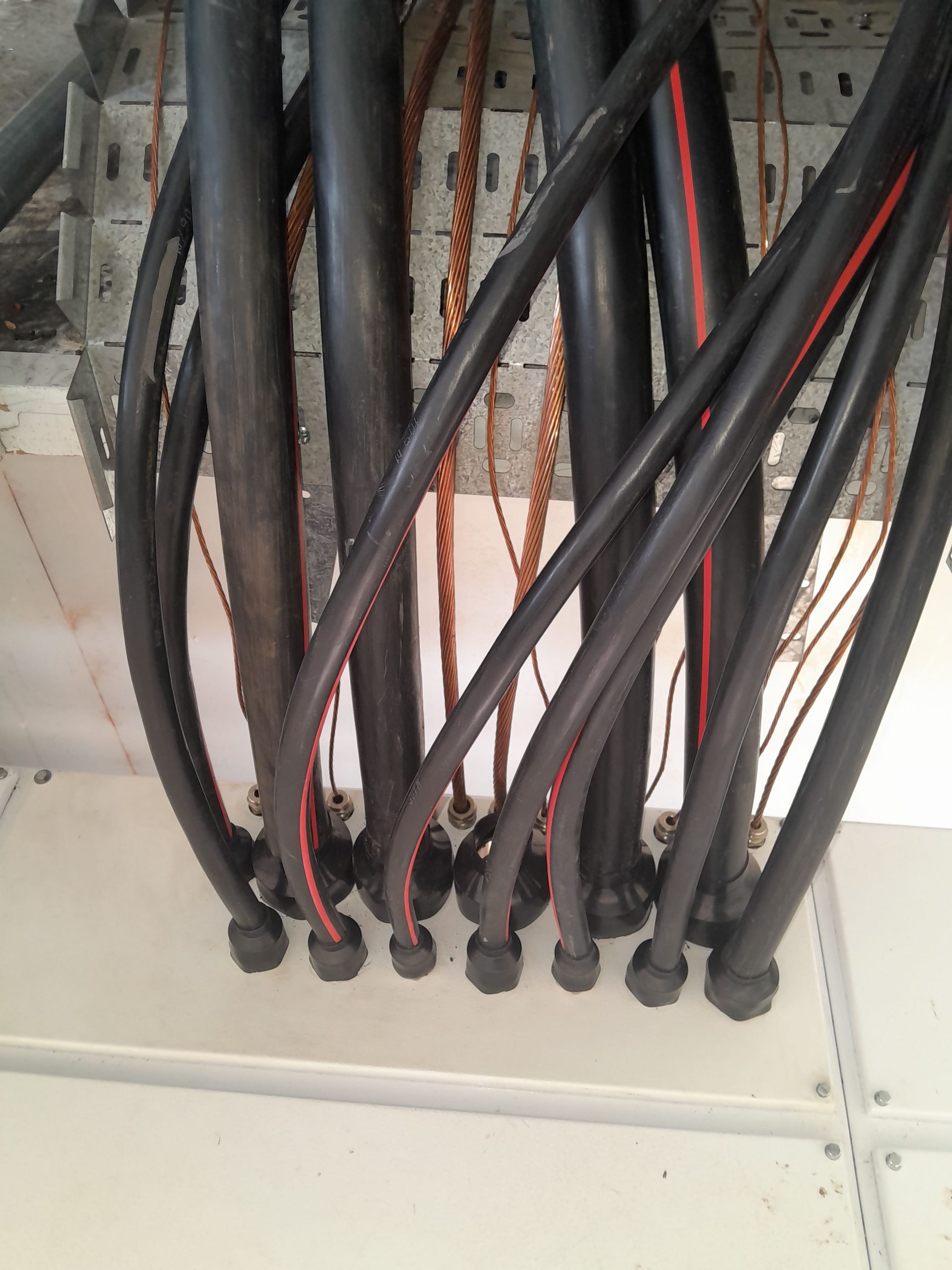 20250329_140121 20250329_140121